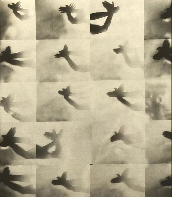 TPG Patrons: Friday 14 Nov: Programme of Studio Visit, Curator Tours & Lunch