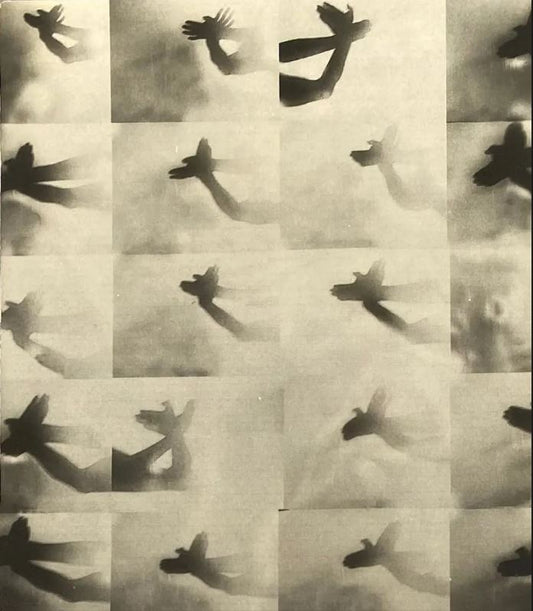 TPG Patrons: Friday 14 Nov: Programme of Studio Visit, Curator Tours & Lunch